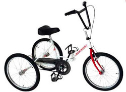 Tricycle adulte et enfant