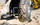 Extreme X8 Fauteuil roulant lectrique